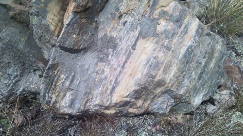 Гигантские зелёные валуны для ландшафтного дизайна весом более 5 тонн купить в Михайловске