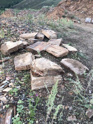 Плитняк кора дерева 50-100мм для пошаговых дорожек купить в Михайловске